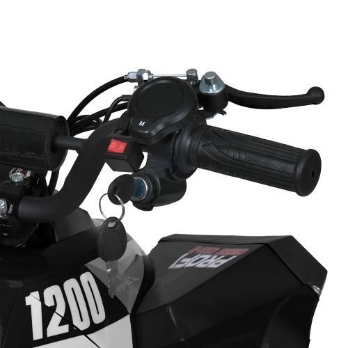 Квадроцикл E-XBW-1200-2(MP3) E-XBW-1200-2(MP3) фото