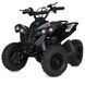 Квадроцикл E-XBW-1200-2(MP3) E-XBW-1200-2(MP3) фото 1