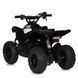 Квадроцикл E-XBW-1200-2(MP3) E-XBW-1200-2(MP3) фото 6
