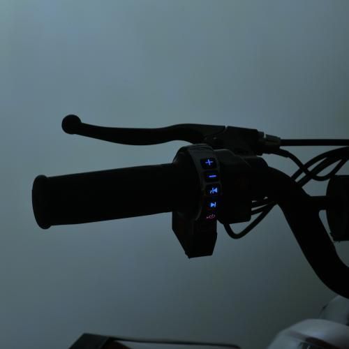 Квадроцикл E-XBW-1200-3(MP3) E-XBW-1200-3(MP3) фото