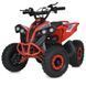 Квадроцикл E-XBW-1200-3(MP3) E-XBW-1200-3(MP3) фото 1