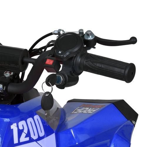 Квадроцикл E-XBW-1200-4(MP3) E-XBW-1200-4(MP3) фото