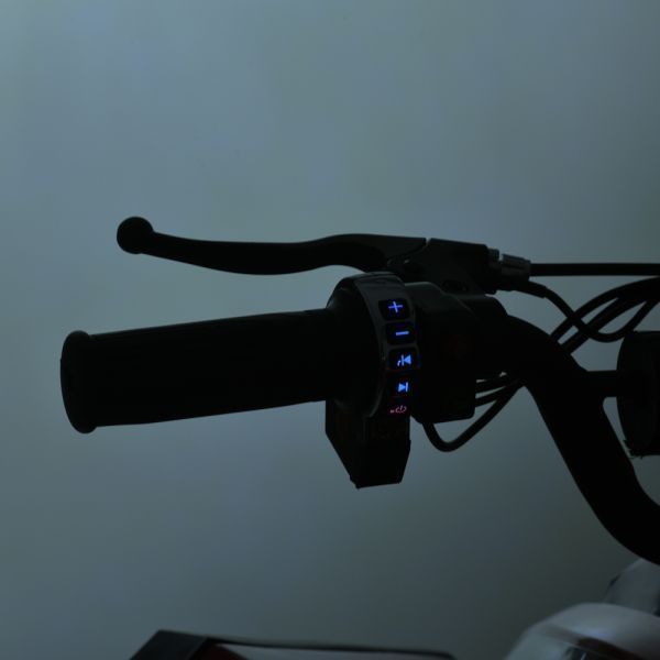 Квадроцикл E-XBW-1200-5(MP3) E-XBW-1200-5(MP3) фото