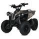 Квадроцикл E-XBW-1200S-13(MP3) E-XBW-1200S-13(MP3) фото 1