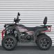 Квадроцикл AFB200L-2-3 344746 фото 4