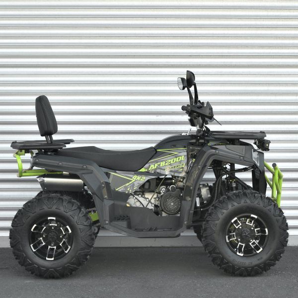Квадроцикл AFB200L-2-5 344747 фото