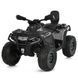 Квадроцикл M 6080EBLR-11 334827 фото 1