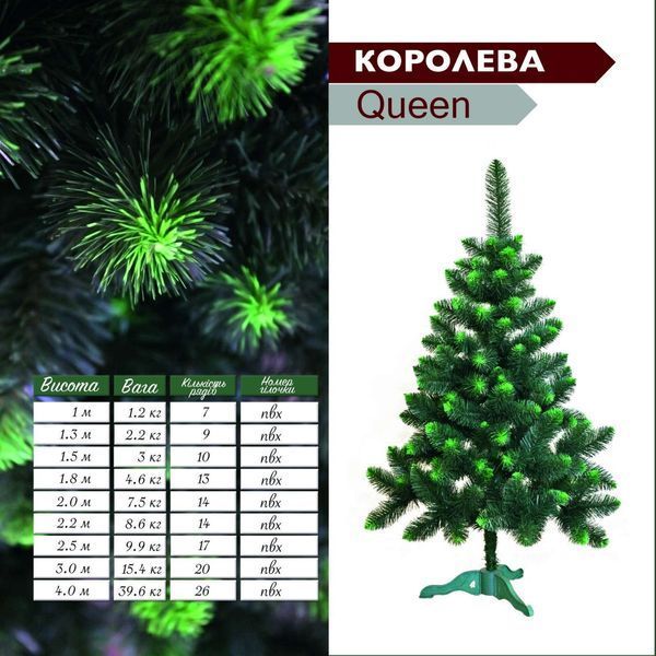 Ялинка Королева з білими кінчиками 1.5м 2001415 фото