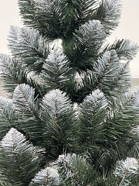 Ялинка Королева з білими кінчиками 2.0м 2001417 фото