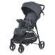 Коляска дитяча M 4249-2 Gray Matt M 4249-2 Gray Matt фото 1