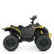 Квадроцикл M 5001EBLR-6 M 5001EBLR-6 фото 6