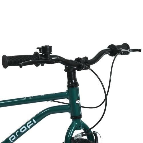 Велосипед дитячий 20д. PROF1 MB 20LIGHTY RAIN FOREST MB 20LIGHTY RAIN FOREST фото
