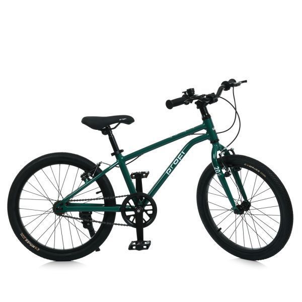 Велосипед дитячий 20д. PROF1 MB 20LIGHTY RAIN FOREST MB 20LIGHTY RAIN FOREST фото